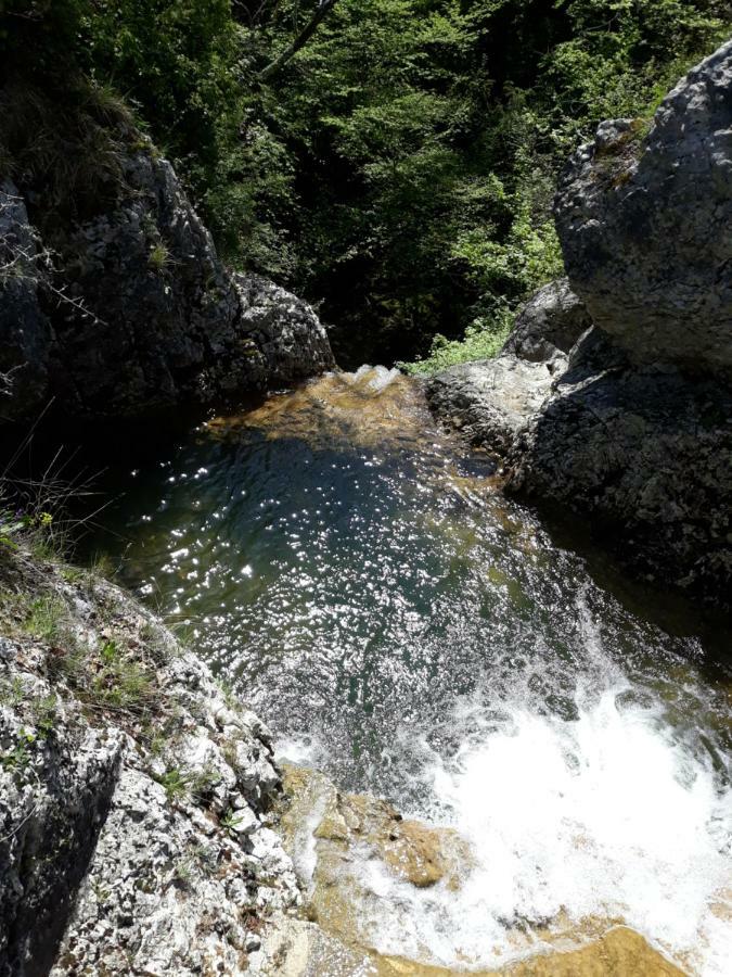 Kuca Za Odmor Luna Buje Exterior foto