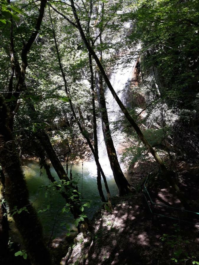 Kuca Za Odmor Luna Buje Exterior foto